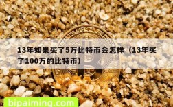 13年如果买了5万比特币会怎样（13年买了100万的比特币）