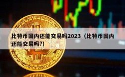 比特币国内还能交易吗2023（比特币国内还能交易吗?）