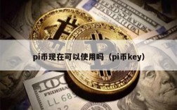 pi币现在可以使用吗（pi币key）