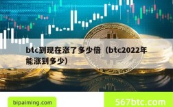 btc到现在涨了多少倍（btc2022年能涨到多少）