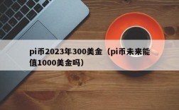 pi币2023年300美金（pi币未来能值1000美金吗）