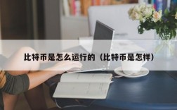 比特币是怎么运行的（比特币是怎样）