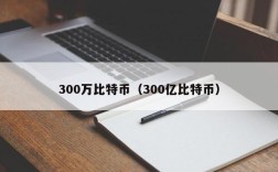 300万比特币（300亿比特币）