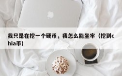 我只是在挖一个硬币，我怎么能坐牢（挖到chia币）