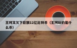 王珂又欠下巨额12亿比特币（王珂玩的是什么币）