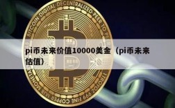 pi币未来价值10000美金（pi币未来估值）