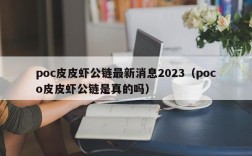 poc皮皮虾公链最新消息2023（poco皮皮虾公链是真的吗）