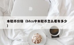 本聪币价格（btcs中本聪币怎么看有多少）