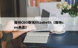 推特CEO取关Elizabeth（推特ceo表态）