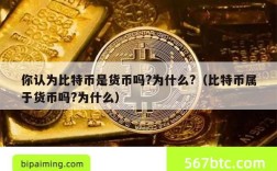 你认为比特币是货币吗?为什么?（比特币属于货币吗?为什么）