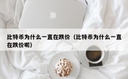 比特币为什么一直在跌价（比特币为什么一直在跌价呢）