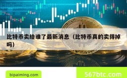 比特币卖给谁了最新消息（比特币真的卖得掉吗）