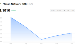  MSN币是正规的还是仿的？MSN币值得投资吗？