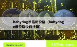 babydog币最新价格（babydoge币价格今日行情）