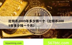 比特币2009年多少钱一个（比特币2009年多少钱一个月）