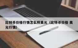 比特币价格行情怎么样美元（比特币价格 美元行情）