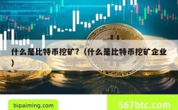 什么是比特币挖矿?（什么是比特币挖矿企业）