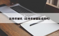 比特币被坑（比特币被骗能追回吗）