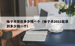 柚子币现在多少钱一个（柚子币2021能涨到多少钱一个）