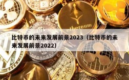 比特币的未来发展前景2023（比特币的未来发展前景2022）