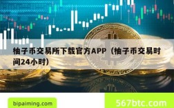 柚子币交易所下载官方APP（柚子币交易时间24小时）