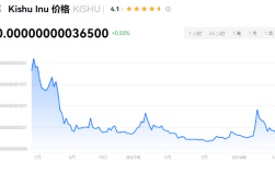 KISHU币可以一直持有吗？kishu币2024年还有希望吗？