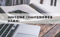 3000个比特币（3000个比特币等于多少人民币）