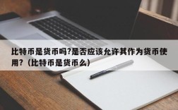 比特币是货币吗?是否应该允许其作为货币使用?（比特币是货币么）