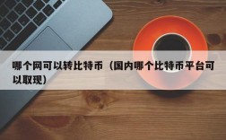 哪个网可以转比特币（国内哪个比特币平台可以取现）