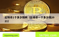 比特币1个多少钱啊（比特币一个多少钱2021）