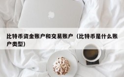 比特币资金账户和交易账户（比特币是什么账户类型）