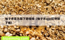 柚子币官方版下链接接（柚子币app区块链下载）