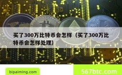 买了300万比特币会怎样（买了300万比特币会怎样处理）