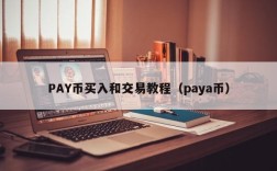 PAY币买入和交易教程（paya币）