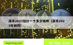 派币2023估计一个多少钱啊（派币2023年如何）