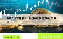 2025预言比特币（比特币预言20万美金图）