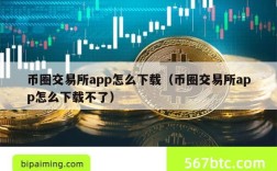 币圈交易所app怎么下载（币圈交易所app怎么下载不了）