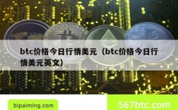 btc价格今日行情美元（btc价格今日行情美元英文）