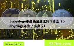 babydoge币最新消息比特币峰会（babydoge币涨了多少倍）