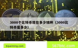 3000个比特币现在多少钱啊（3000比特币是多少）