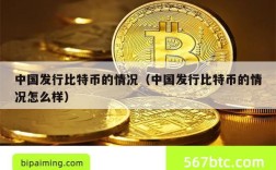 中国发行比特币的情况（中国发行比特币的情况怎么样）