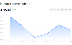 MSN币是什么?MSN币未来潜力如何?