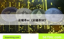 云储币sc（云储币SC）