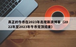 真正的牛市在2023年出现新浪博客（2022年至2023年牛市见顶结束）