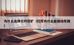 为什么选择杠杆挖矿（杠杆为什么能撬动东西）