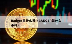 Badger是什么币（BADGER是什么币种）