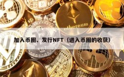 加入币圈、发行NFT（进入币圈的收获）