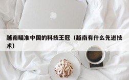 越南瞄准中国的科技王冠（越南有什么先进技术）