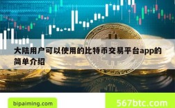 大陆用户可以使用的比特币交易平台app的简单介绍