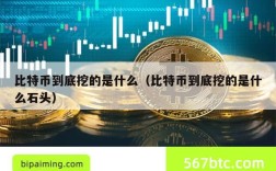 比特币到底挖的是什么（比特币到底挖的是什么石头）